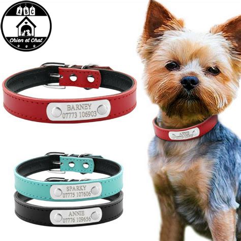 Collier pour chien XS 